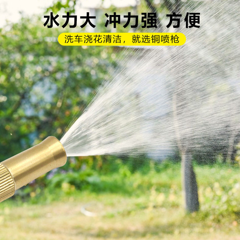 喷水枪洗车浇花园艺黄铜喷枪 园林喷雾水枪头花圃软管喷嘴喷头
