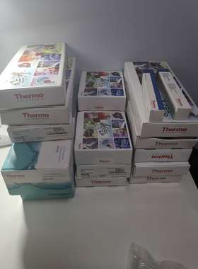 议价thermo戴安色谱阴离子分析柱PROD,COL,IP,AS22,4X250MM053940