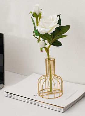 北欧ins铁艺金色水培花瓶摆件 客厅餐桌桌面装饰干花花插绿萝水培