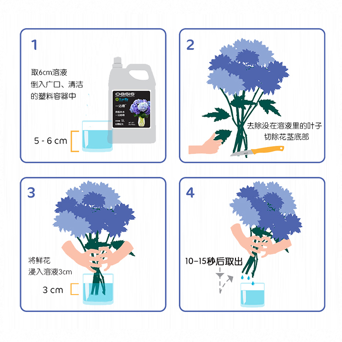 包邮进口花之寿一沾得系