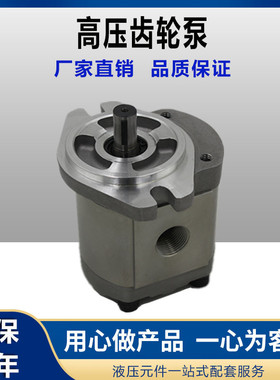 液压油泵头高压齿轮泵2GG1P11R 2GG1P14R 18R 28R 22R 2GG1P33R