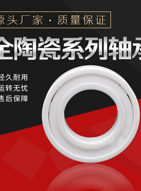 进口NSK VXT氧化锆全陶瓷轴承 6906 6907 6908 6909 6910 6911 CE