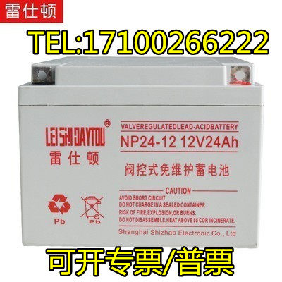 LEISHIDAYTOU雷仕顿蓄电池NP24-12原装正品12V24AH卧式消防UPSEPS