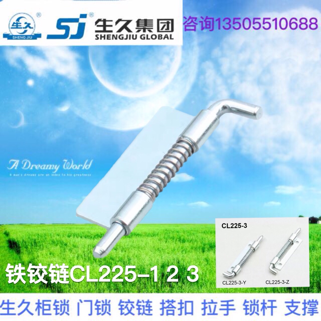 生久柜锁不锈钢铁铰链平板焊接式CL225-3铰链 弹簧插销转轴
