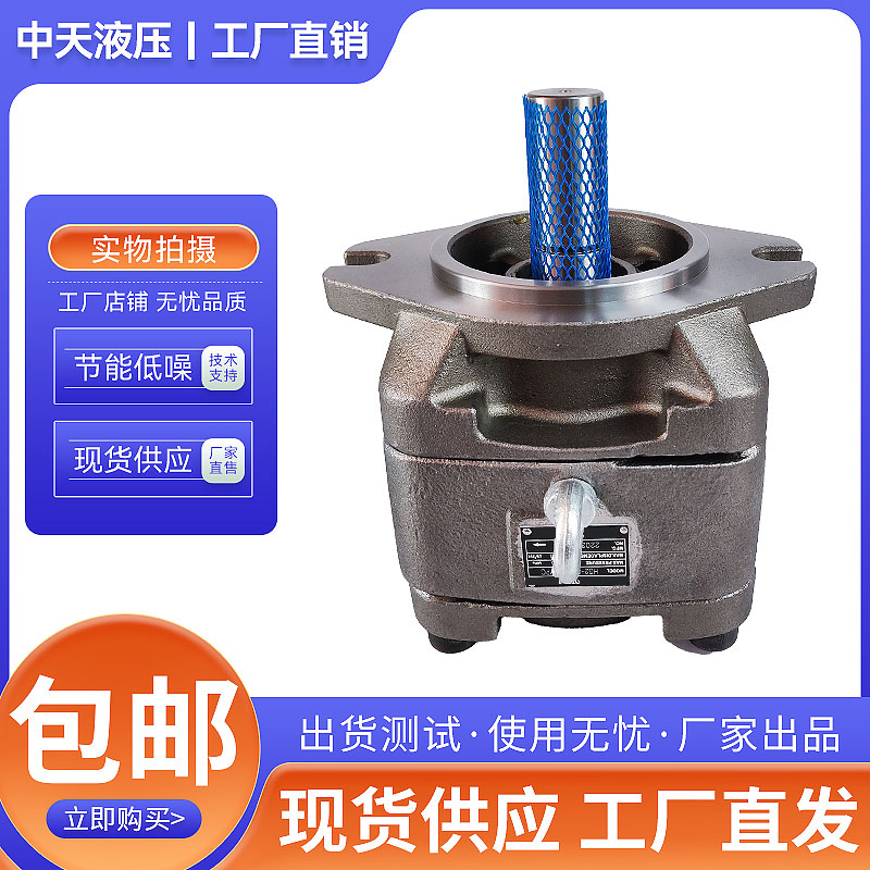 新款HG0/1/2-25/32/40/50/63/80-01R-VPC注塑机高压齿变量轮现货