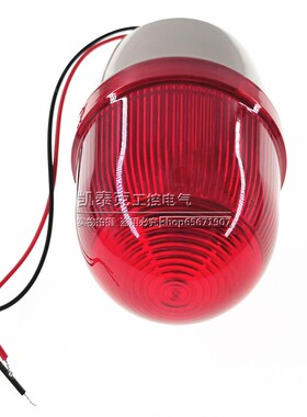 正品迷你型LED频闪警示灯LTE-2071J 声光报警器 带声音12V 24V