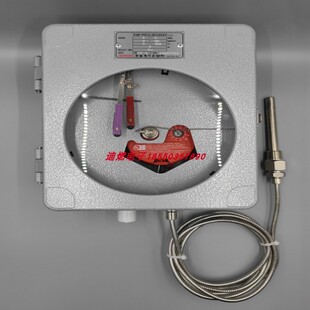 HANWOOL双笔温度压力记录仪 0-6kg保压仪便携式一体机HW-PR420