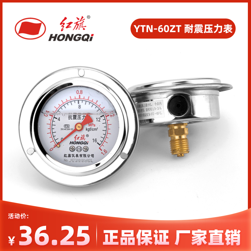 红旗仪表轴向耐震压力水