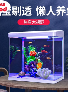 Small fish tank aquarium glass living room filter goldfish