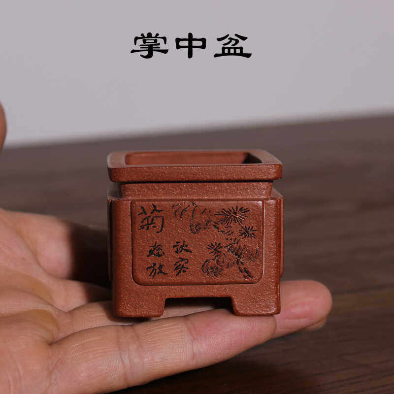 宜兴掌中紫砂花盆 把玩迷你小花盆造景铁画轩款石生刻绘四方花盆