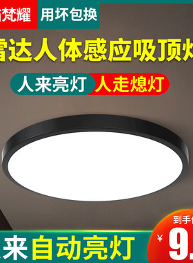 led感应吸顶灯雷达人体声控家用过道玄关楼梯走廊楼道夜间感应灯