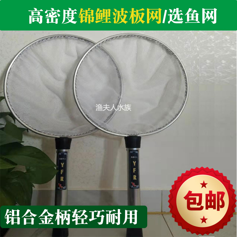 波板网锦鲤选鱼高密度场