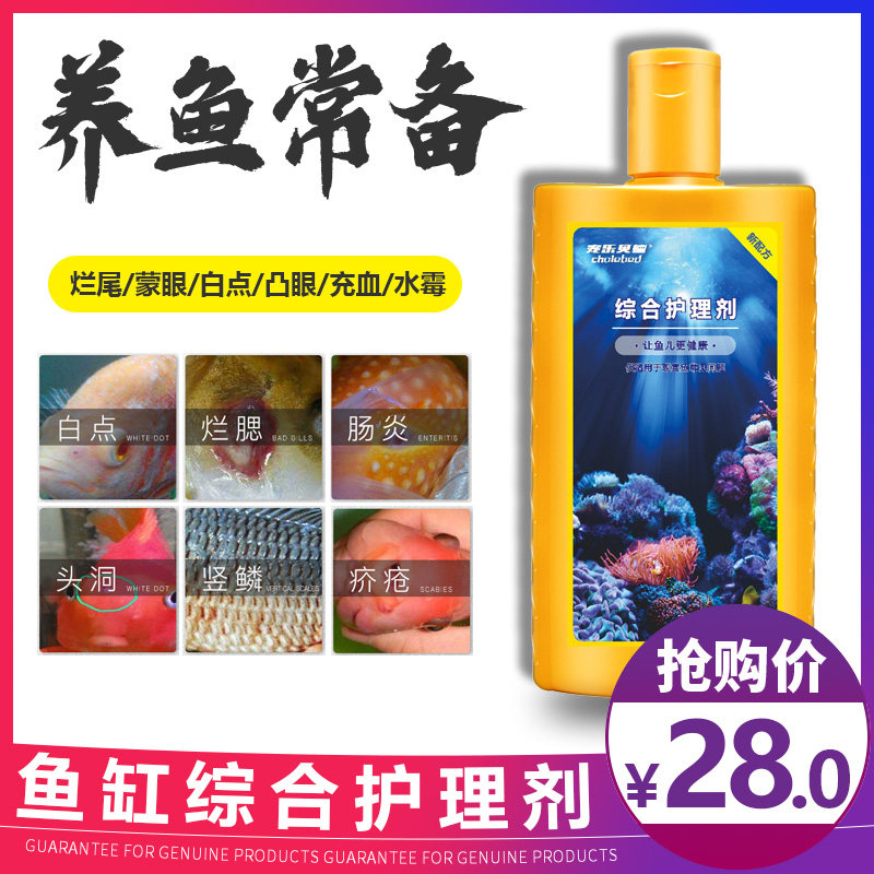 立鳞蒙烂尾眼白点烂肉水霉病充血罗汉招财鱼专用锦鲤鱼金鱼鹦鹉鱼