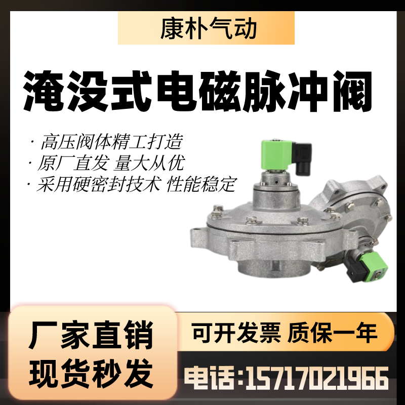 袋式型淹没电磁脉冲阀气