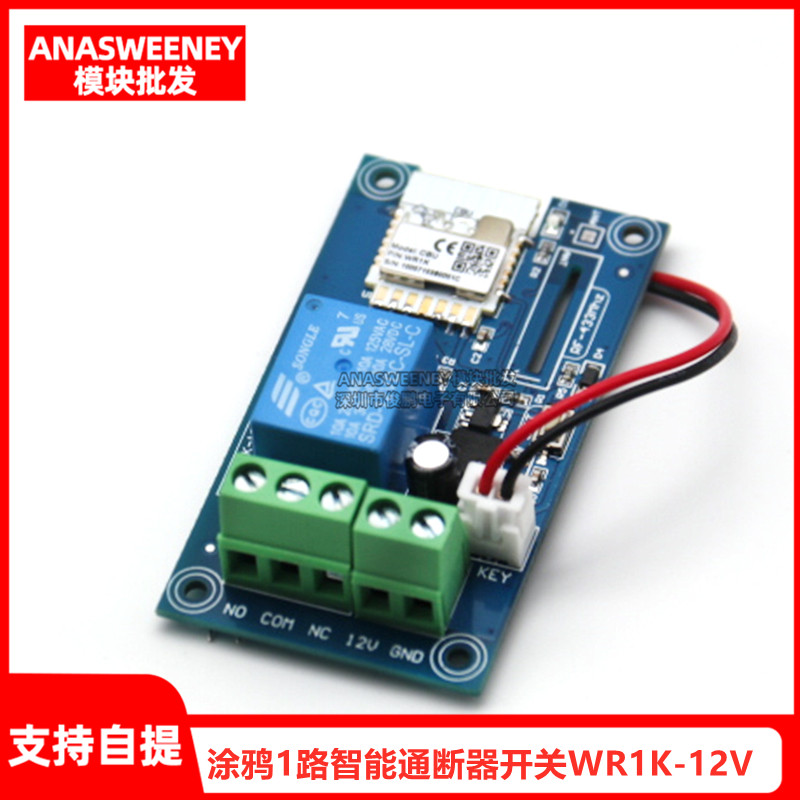 涂鸦1路智能通断器开关手机wifi远程门禁灯带电机控制WR1K-12V
