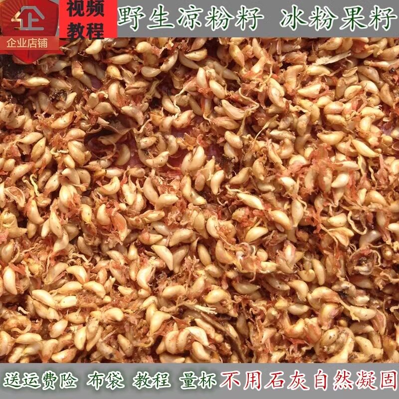 24野生凉粉籽手搓冰粉籽p爱玉批 发商用薜荔木莲木瓜500g不加石灰