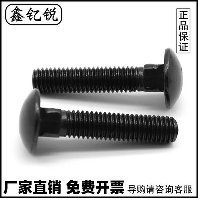 镀黑锌不锈钢马车螺丝货