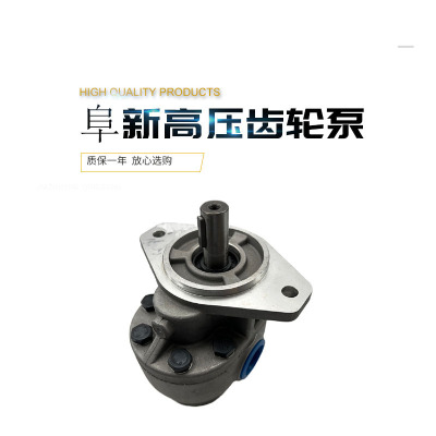 阜新液压高压齿轮油泵 CBF-E10P E16P E18P E25P E32P E40P X ALP