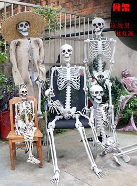 Skeleton props corpse skeletons  Halloween decorations