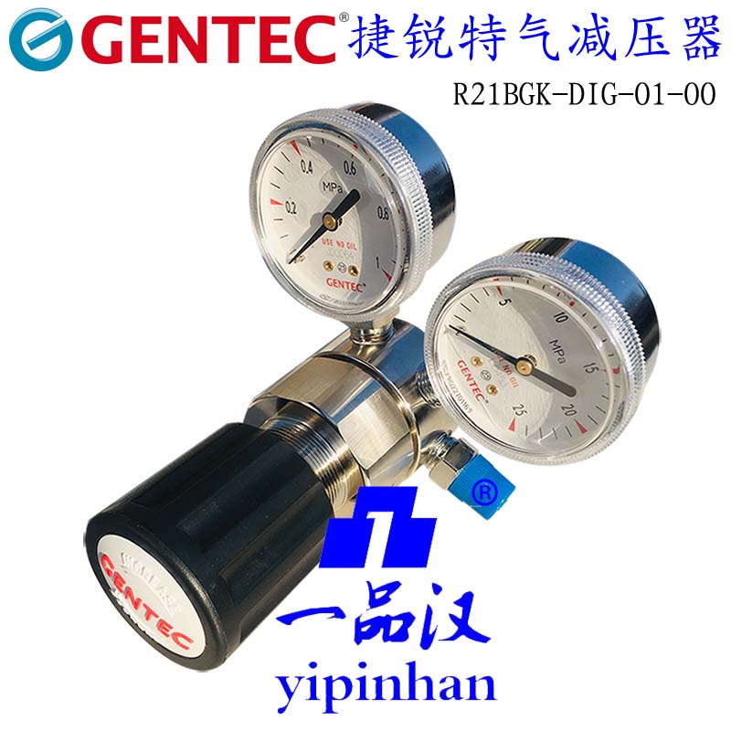 捷锐/GENTEC特气减压器R21BGK-DIG-01-00不锈钢减压阀气表一品汉