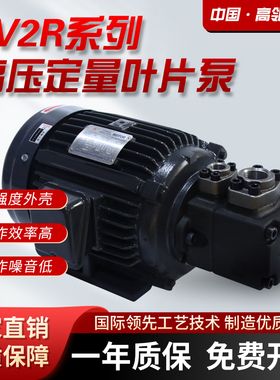 液压叶片泵PV2R1-10 12 14 17 19 23 252831-F-1R油泵PV2R2压力泵
