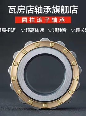 国产瓦房店瓦轴ZWZ圆柱滚子轴承RN 215 216 217 218 219 220 EM