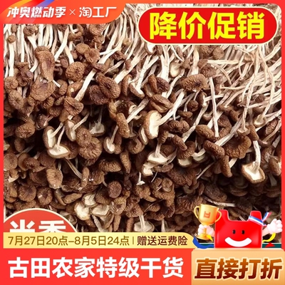 菇农价古田农家茶树菇干货特级不开伞新鲜茶薪菇香菇蘑菇营养煲汤