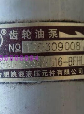 合肥皖液液压齿轮泵CBNL-F563/F520-BL1HL BFHL BFH环卫车双联泵
