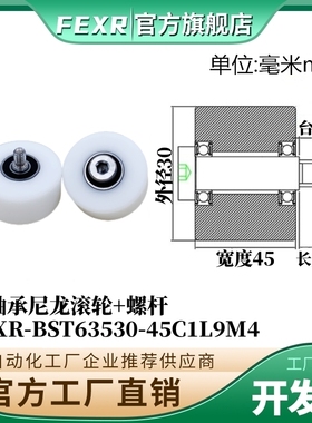带螺杆BST63530-45C1L9M4尼龙塑料滚轮双轴承加宽输送带POM滑轮