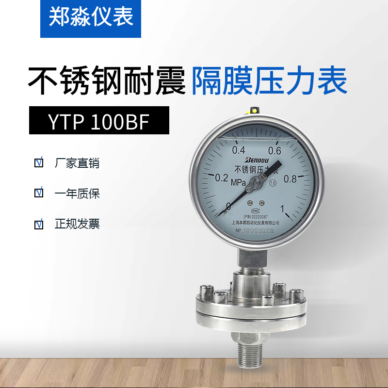 隔膜压力表 YTP-100BF  螺纹连接 量程齐全