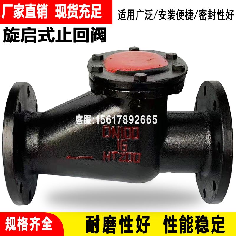 旋启式止回阀铸铁铜芯法