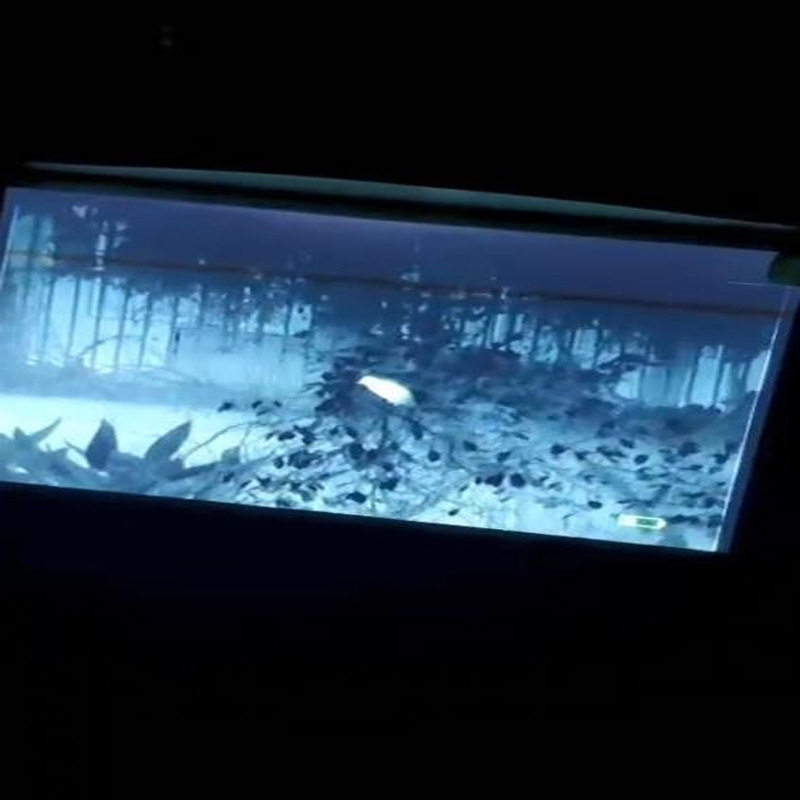 村舍热成像全黑户外高清成像夜视红外望远镜热成像仪营救巡逻探险