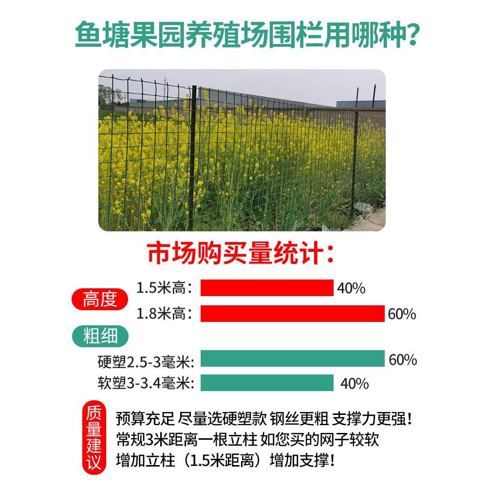 铁丝网围栏钢子护荷兰养