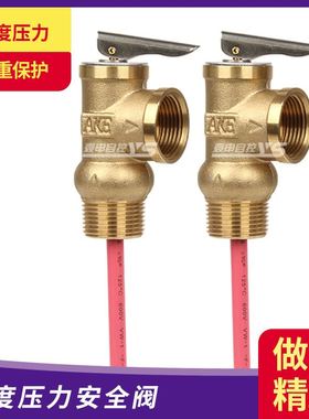太阳能电热水器安全阀温度压力安全阀 TP阀WYA-20WYA-15安全阀