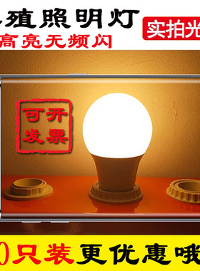 LED养殖照明灯3W5W7W9W12W15W暖黄光E27螺口室内超亮无频闪节能灯