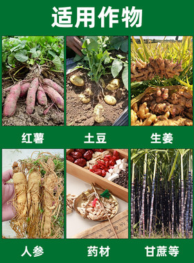 红薯保鲜剂水果蔬菜柚子