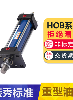 HOB重型液压缸模具油缸 单向双向升降可调液压缸各类非标定制拉杆