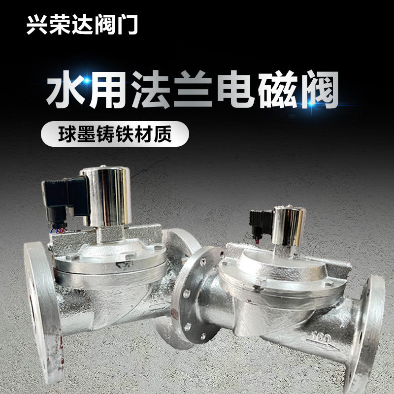 杭州荣盛DF型铸铁阀门法兰电磁阀ac220V水阀100控制阀dc24V dn80
