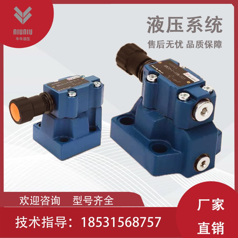 DB10-1-50B/100液压先导式溢流阀DB10-1-50B/315/DB20-1-50B/315