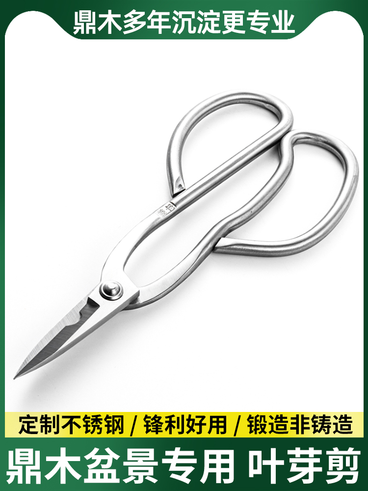 鼎木园艺盆景加长栽剪插