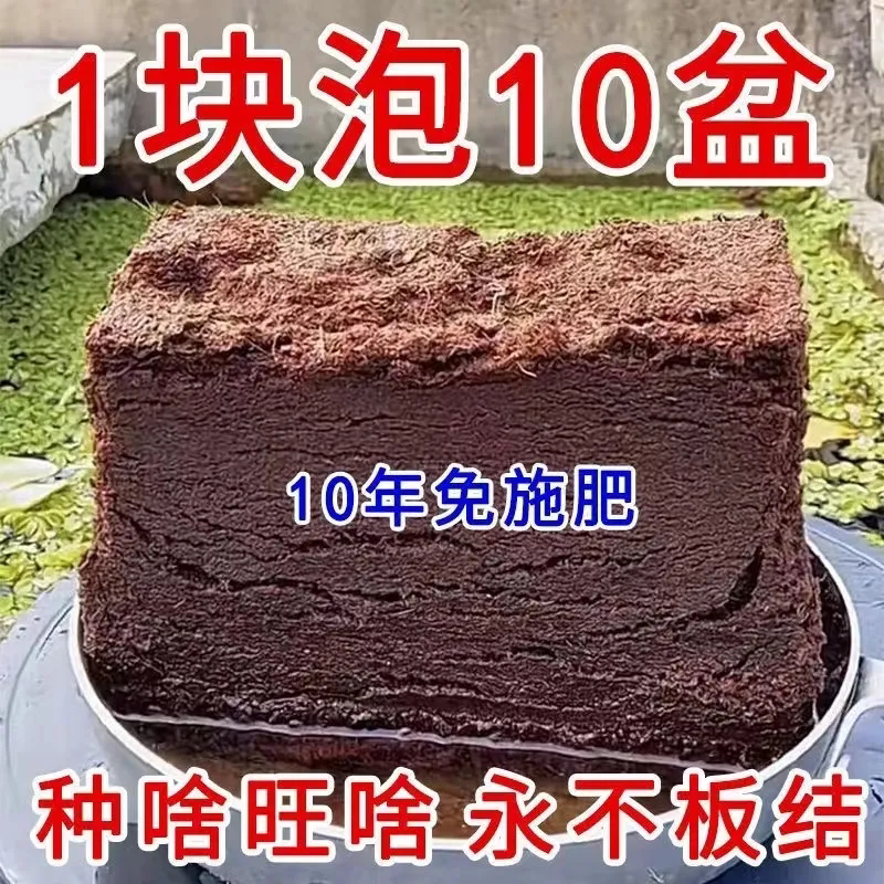 椰砖无菌营养花压缩通用