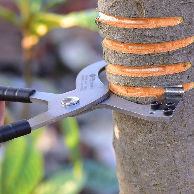 台湾进口立锦环剥钳果树