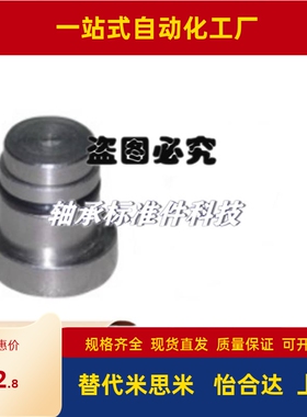 LLT12/ICE11-T3.5/T4/5/1.8/1.4定位销T1导轨T2/LLTA/LLTR7/T3/T5