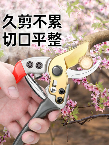 德国品质钢树枝剪刀省力