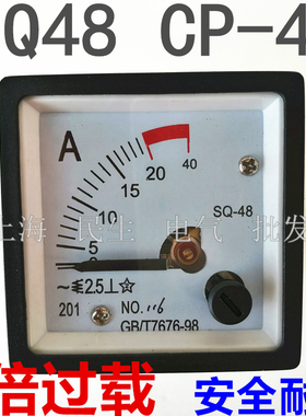 迅尔高精度过载型仪表指针表头SQ-48 CP-48 外形48X48mm A级品质