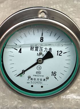 轴向带边不锈钢耐震压力表 YN-100zt-bf 0-16mpa 直径100mm 仪川