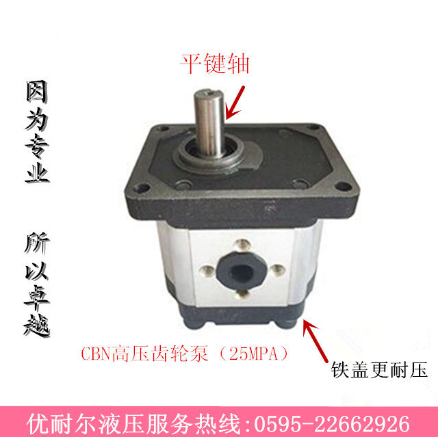 SR液压齿轮油泵CBN-G304 CBN-G306 CBN-G310/314/316/320 25MPa,畜牧/养殖物资,赶猪器,淘宝优惠券,粉丝福利购,淘宝优惠卷