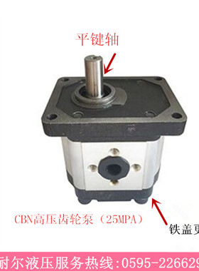 SR液压齿轮油泵CBN-G304 CBN-G306 CBN-G310/314/316/320 25MPa