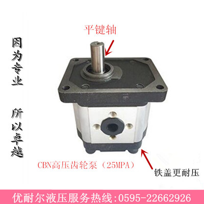 SR液压齿轮油泵CBN-G304 CBN-G306 CBN-G310/314/316/320 25MPa