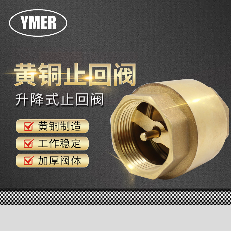 立式单向阀止回水泵管表